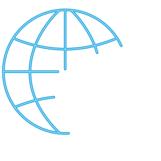 network shield icon