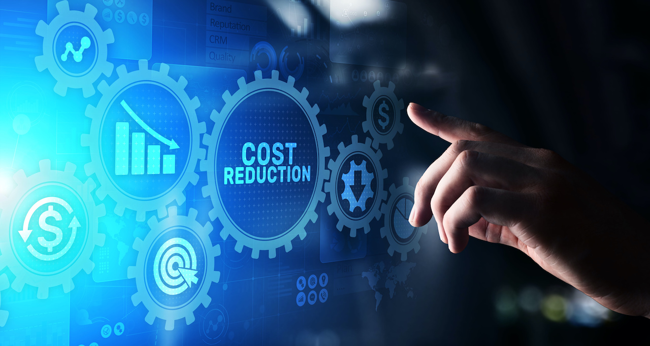 IT Cost Reduction: 6 Strategies for Immediate Savings | ARK Solvers Blog