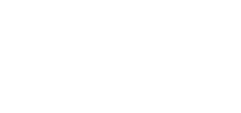 Dell icon