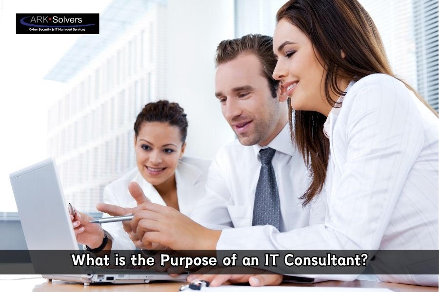 What is the Purpose of an IT Consultant